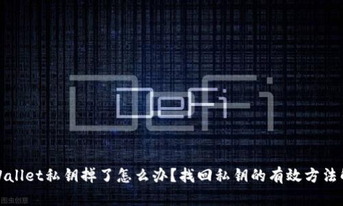 tpWallet私钥掉了怎么办？找回私钥的有效方法解析