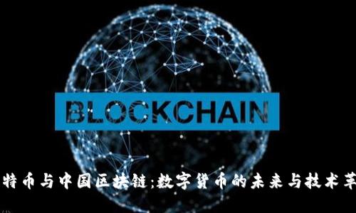 比特币与中国区块链：数字货币的未来与技术革新