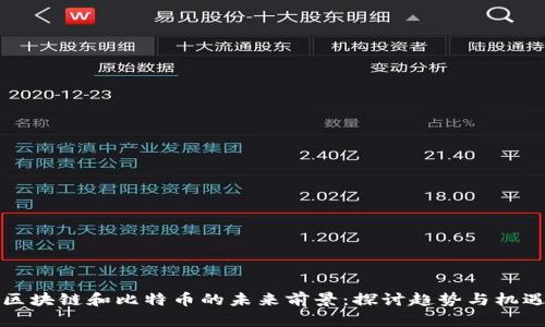 区块链和比特币的未来前景：探讨趋势与机遇