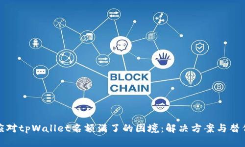 如何应对tpWallet名额满了的困境：解决方案与替代选择