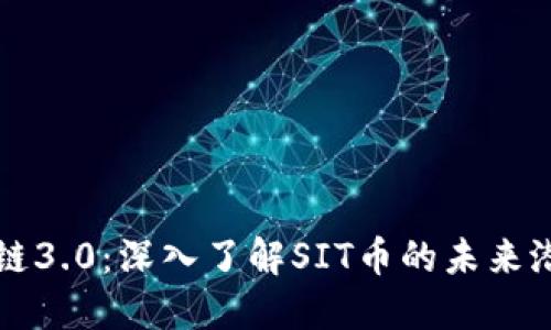 探索区块链3.0：深入了解SIT币的未来潜力与应用