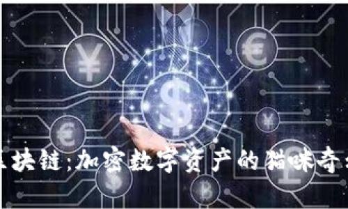 猫币区块链：加密数字资产的猫咪奇幻世界