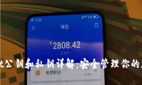 tpWallet公钥和私钥详解：安全管理你的加密资产