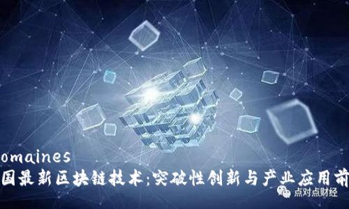  domaines
中国最新区块链技术：突破性创新与产业应用前景