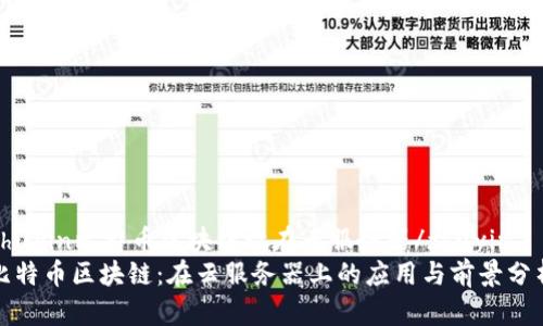 zhuyin比特币区块链放在云服务器/zhuyin  
比特币区块链：在云服务器上的应用与前景分析