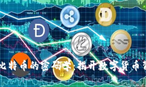 区块链与比特币的密码学：揭开数字货币背后的秘密