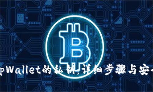 如何查看tpWallet的私钥：详细步骤与安全注意事项