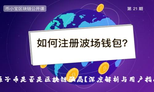 原子币是否是区块链骗局？深度解析与用户指南