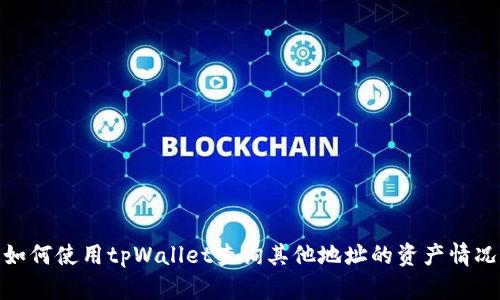 如何使用tpWallet查询其他地址的资产情况