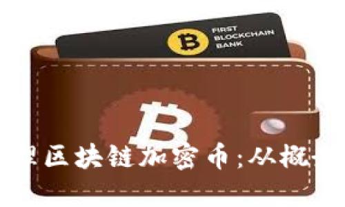 如何成功创建与管理区块链加密币：从概念到实施的完整指南