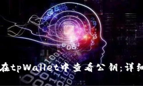 如何在tpWallet中查看公钥：详细指南
