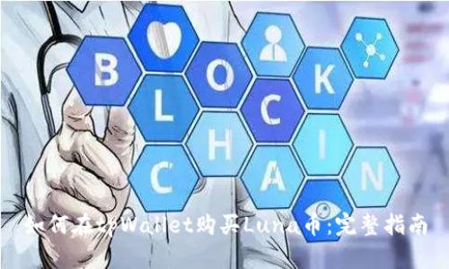 如何在tpWallet购买Luna币：完整指南