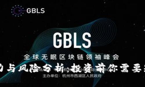 区块链币的潜力与风险分析：投资前你需要知道的关键因素