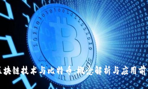 区块链技术与比特币：概念解析与应用前景