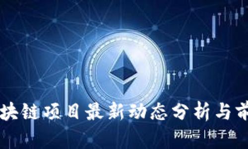 京东区块链项目最新动态分析与前景展望