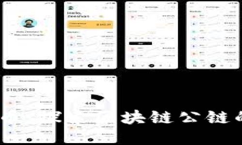 ESSA币：探索区块链公链的未来