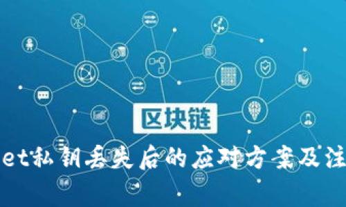 tpWallet私钥丢失后的应对方案及注意事项