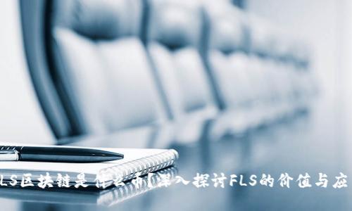 FLS区块链是什么币？深入探讨FLS的价值与应用