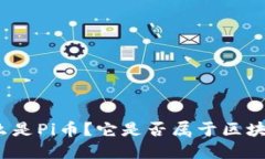 什么是Pi币？它是否属于区