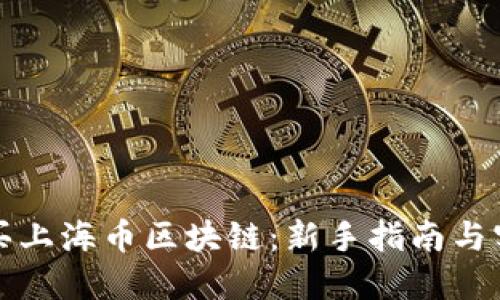 如何购买上海币区块链：新手指南与实用技巧