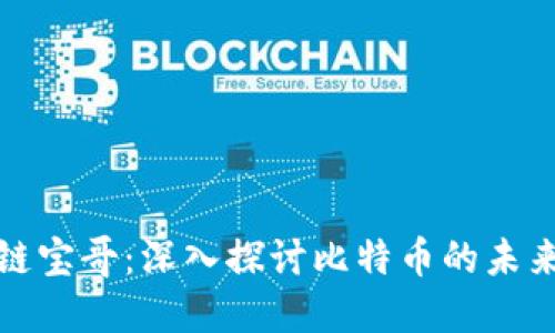 比特币区块链宝哥：深入探讨比特币的未来与技术革命