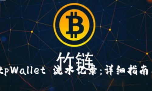 如何查看 tpWallet 流水记录：详细指南与操作步骤