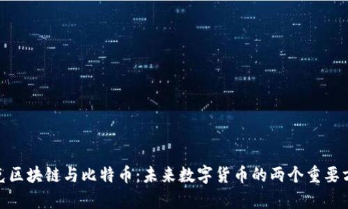 夸克区块链与比特币：未来数字货币的两个重要方向