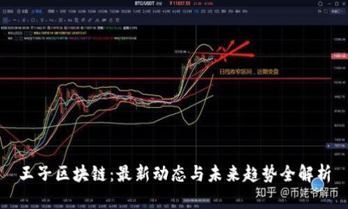 王子区块链：最新动态与未来趋势全解析