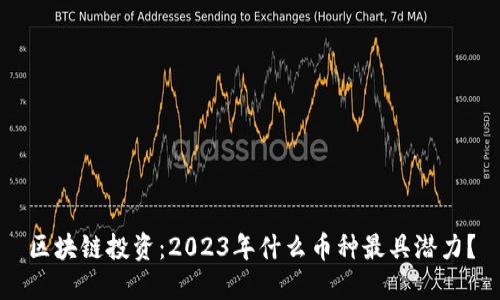区块链投资：2023年什么币种最具潜力？