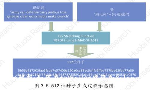 详细解析：如何在tpWallet中添加Solana链