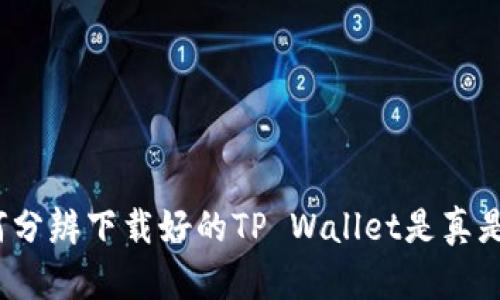 如何分辨下载好的TP Wallet是真是假？