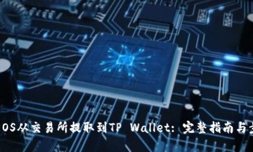 如何将EOS从交易所提取到TP Wallet: 完整指南与步骤解析