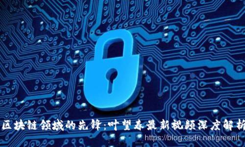 区块链领域的先锋：叶望春最新视频深度解析