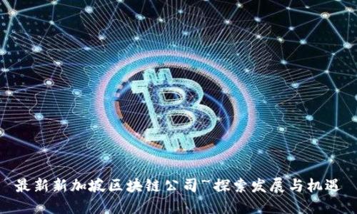 最新新加坡区块链公司~探索发展与机遇