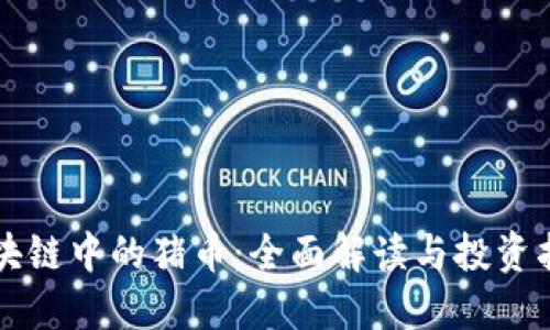 区块链中的猪币：全面解读与投资指南