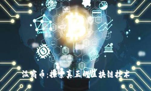 温商币：探索真正的区块链技术