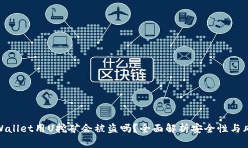 tpWallet用U挖矿会被盗吗？全面解析安全性与风险