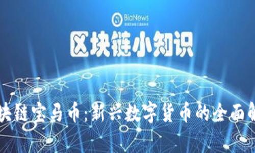 区块链宝马币：新兴数字货币的全面解析