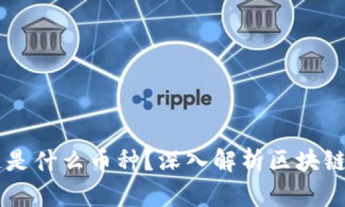 真正的区块链是什么币种？深入解析区块链技术及其应用