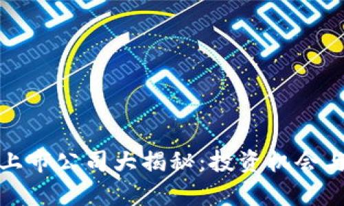 人民币区块链上市公司大揭秘：投资机会与市场前景分析