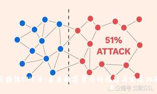 区块链CHE币：未来数字货币的崛起与发展机遇