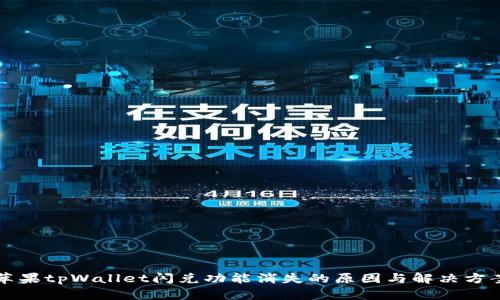 苹果tpWallet闪兑功能消失的原因与解决方案