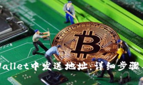 如何在tpWallet中发送地址：详细步骤与注意事项