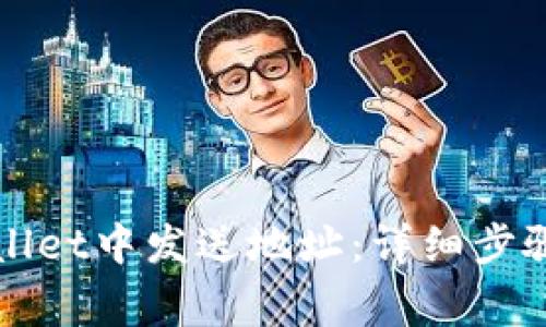 如何在tpWallet中发送地址：详细步骤与注意事项