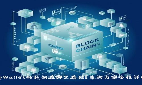 tpWallet的私钥在哪里存储？查询与安全性详解