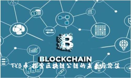 TYB币：探索区块链公链的未来与价值