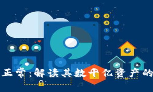 tpWallet是否正常：解读其数十亿资产的可行性与风险