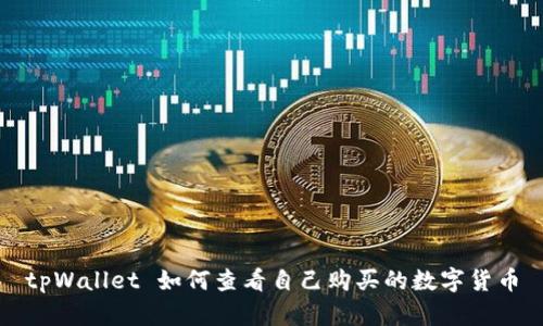 tpWallet 如何查看自己购买的数字货币