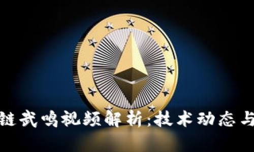 最新区块链武鸣视频解析：技术动态与应用发展