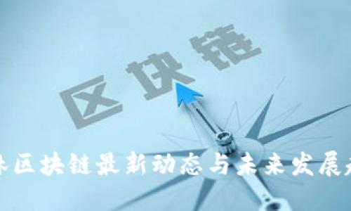 柏林区块链最新动态与未来发展趋势